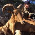 Chasser en Espagne